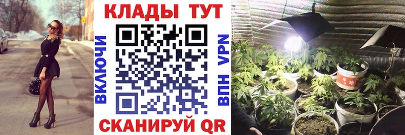 Где купить наркотики Далматово Галлюциногенные грибы  МЕГА сайт  Кокаин  ГАШ 