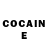 COCAIN Fish Scale Dan Lavoie