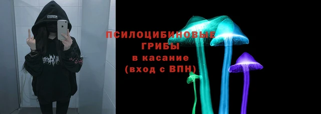 гашик Волосово