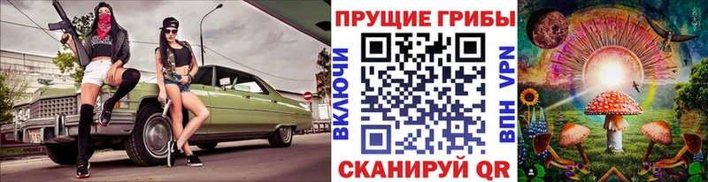 Псилоцибиновые грибы мухоморы darknet официальный сайт Далматово