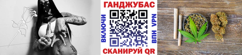 Бошки Шишки Amnesia  Далматово 